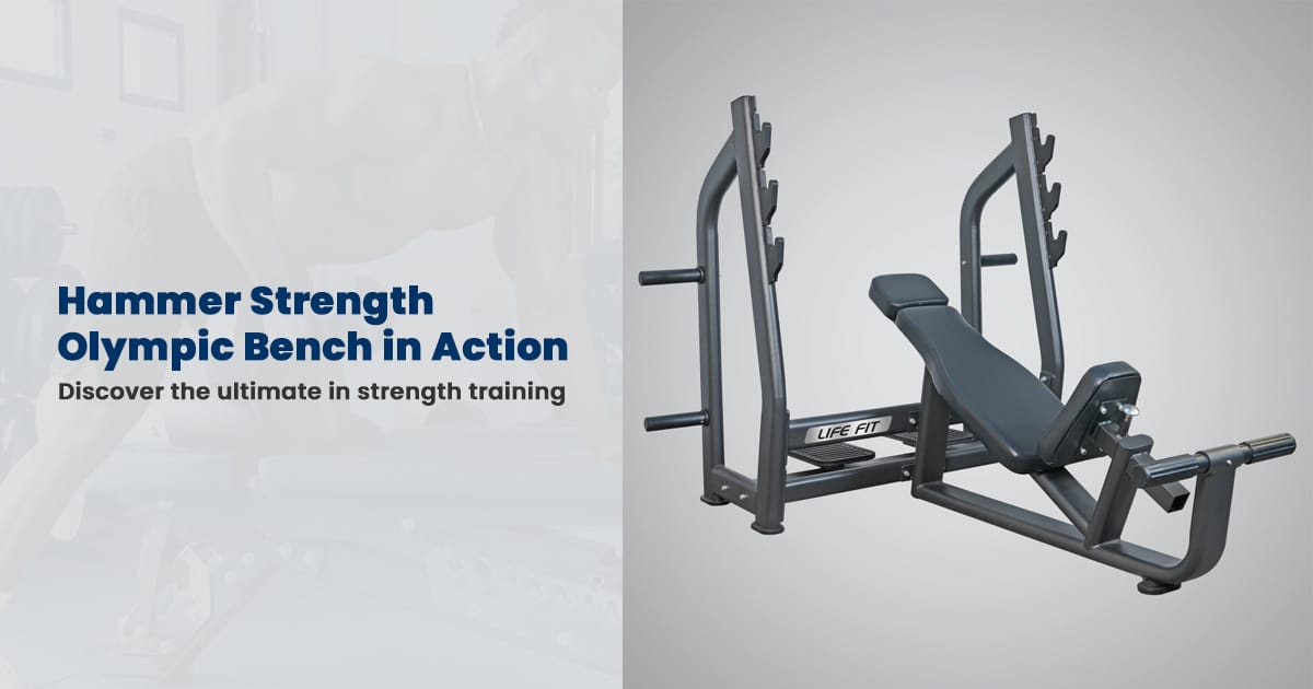 Hammer Strength Olympic benches by LIFE FIT: features and buying guide.