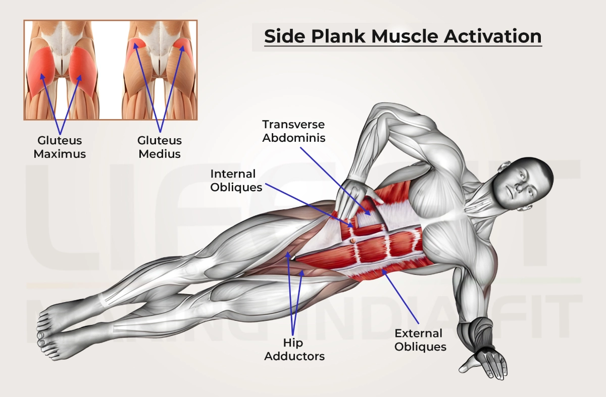 Anatomical infographic titled 'Side Plank Muscle Activation' detailing the primary muscles worked, including the external and internal obliques, transverse abdominis, hip adductors, and an inset showing the gluteus maximus and medius.